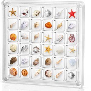 Seashell and Starfish acrylic magnetic sea shell display box